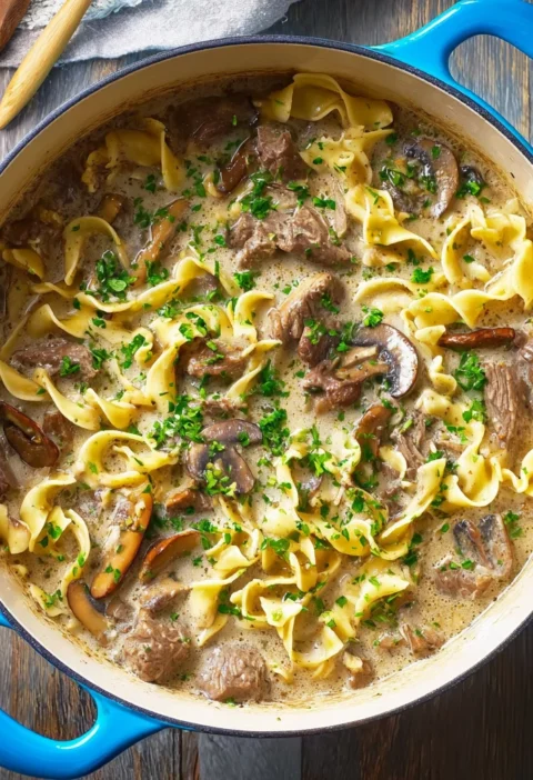 Beef Stroganoff Soup