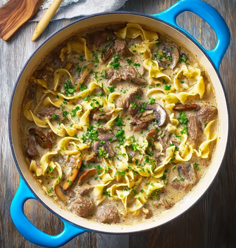 Beef Stroganoff Soup