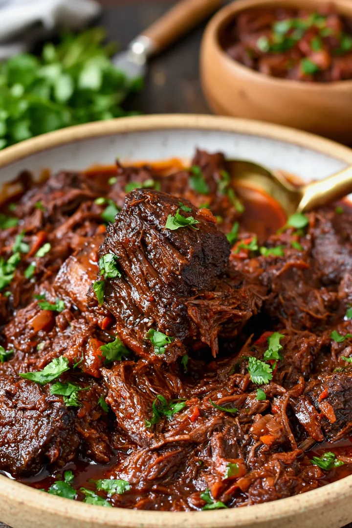 Mexican Style Braised Short Ribs